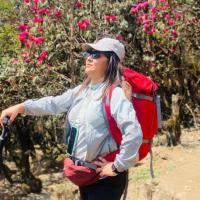 Ghorepani - Rhododendron 