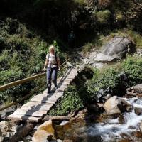 wooden bridge kanchenjunga trek 