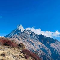 mardi himal trek 